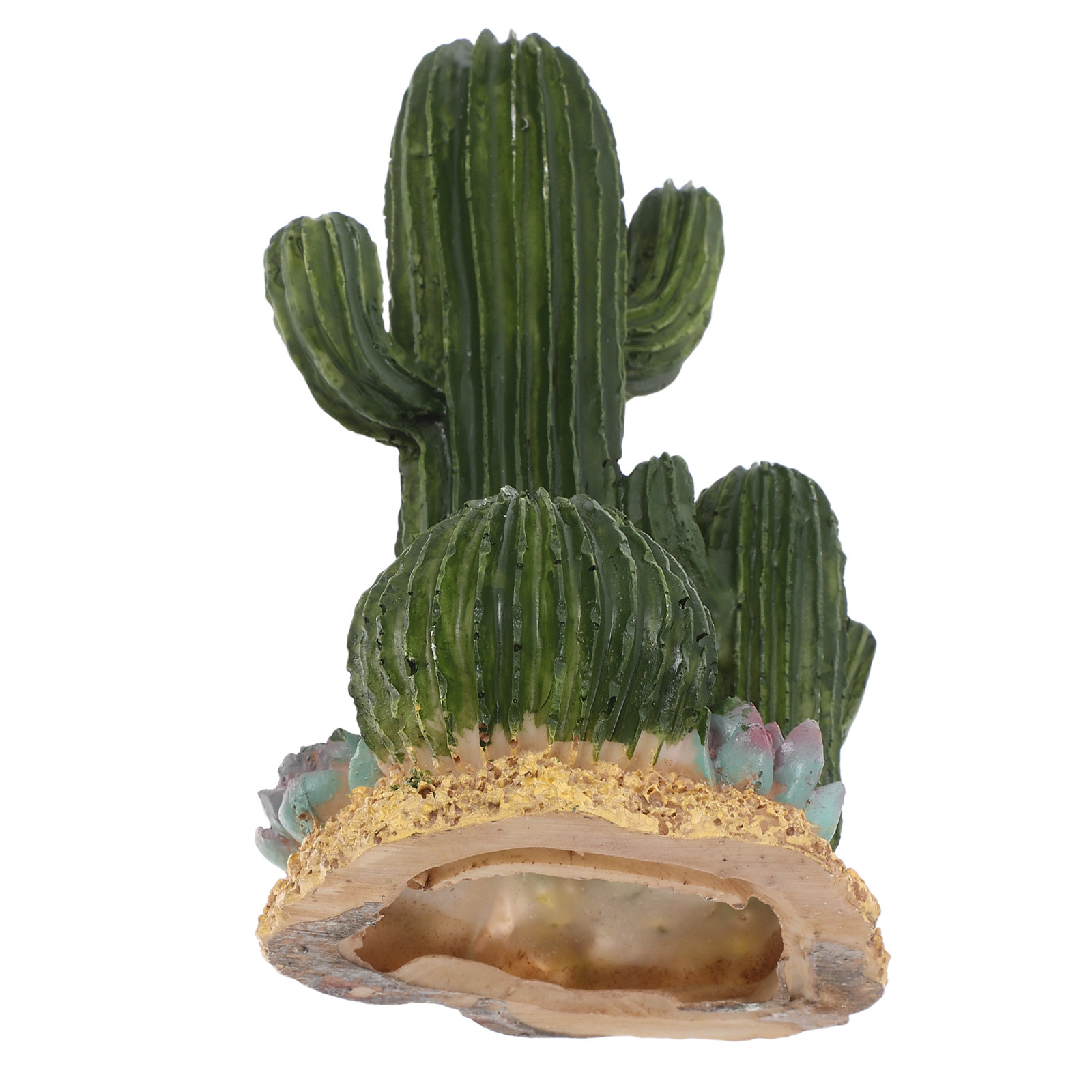 Terrarium Moss Art - Yapay Kaktüs Bitkisi Büyük Sukulent Çöl