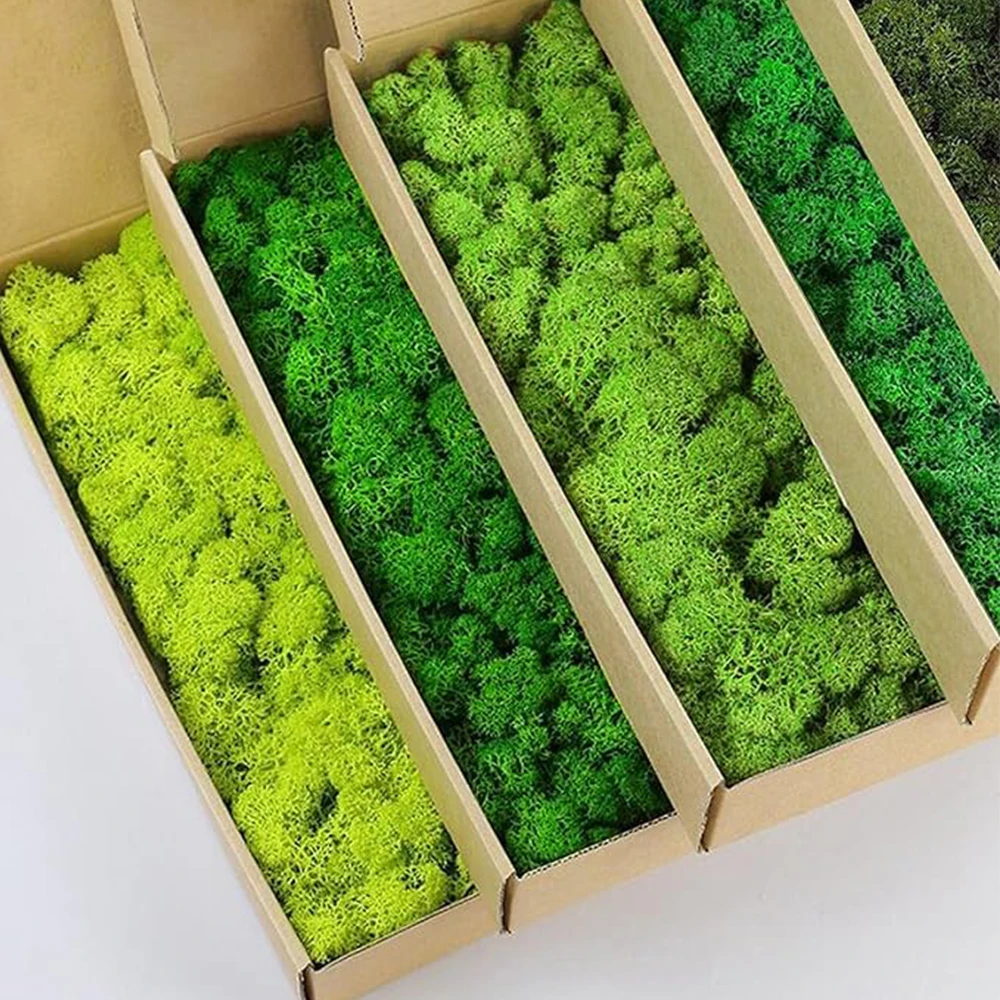 20-200g Yapay Yeşil Bitkiler S - Terrarium Moss Art incelemesi ve fiyatı