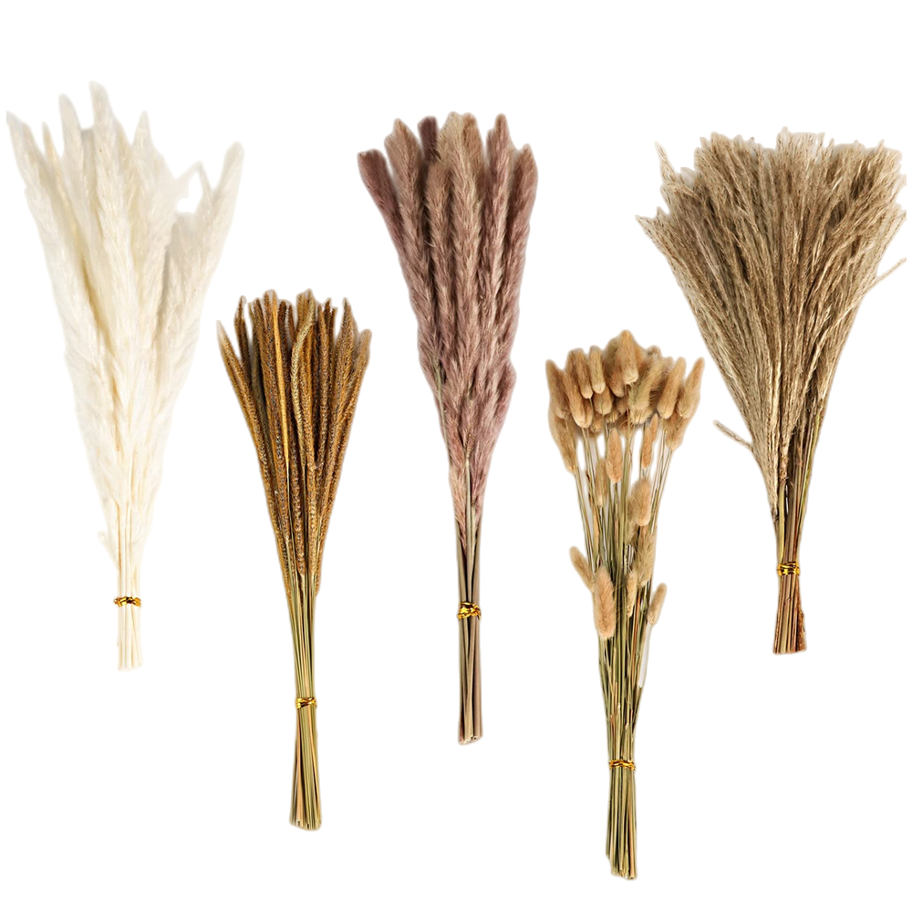 Sonbahar Vintage Karışık Kurut - Dried Flower Bulk incelemesi ve fiyatı