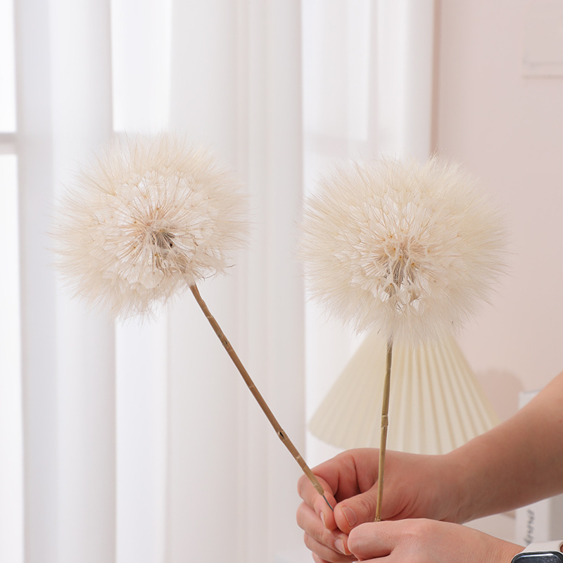 Kurutulmuş Karahindiba DIY Epo - Resin Crafts incelemesi ve fiyatı