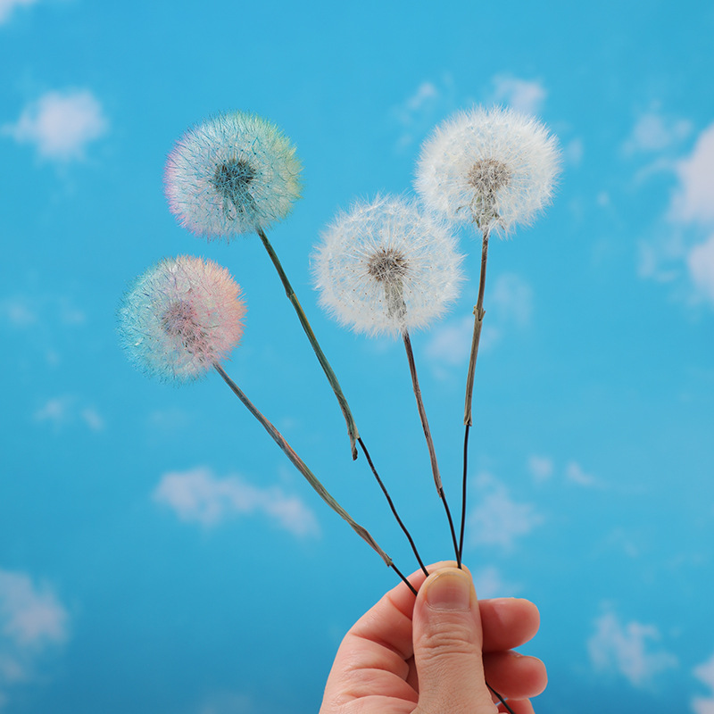 Kurutulmuş Karahindiba DIY Epo - Resin Crafts incelemesi ve fiyatı