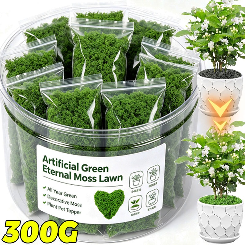 Yapay Yeşil Bitkiler Sonsuz Ya - Terrarium Moss Art incelemesi ve fiyatı